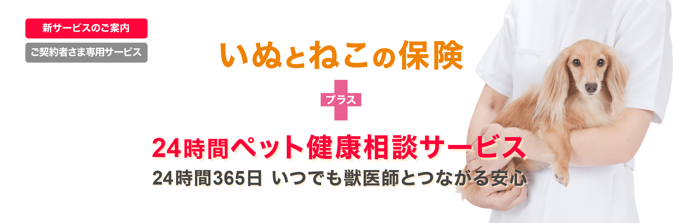 ご契約者さま専用サービス 24時間ペット健康相談サービス