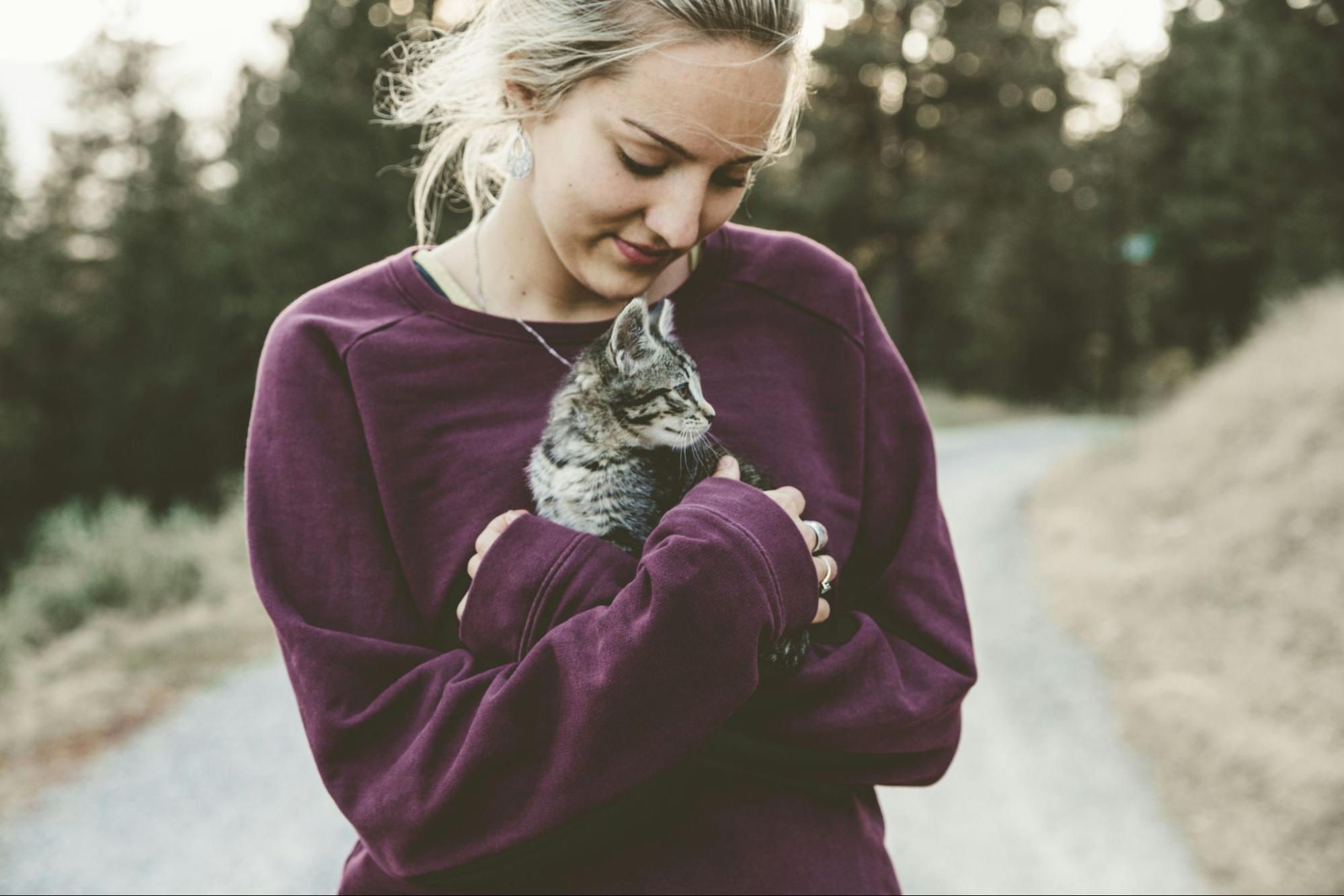 猫 ストレス