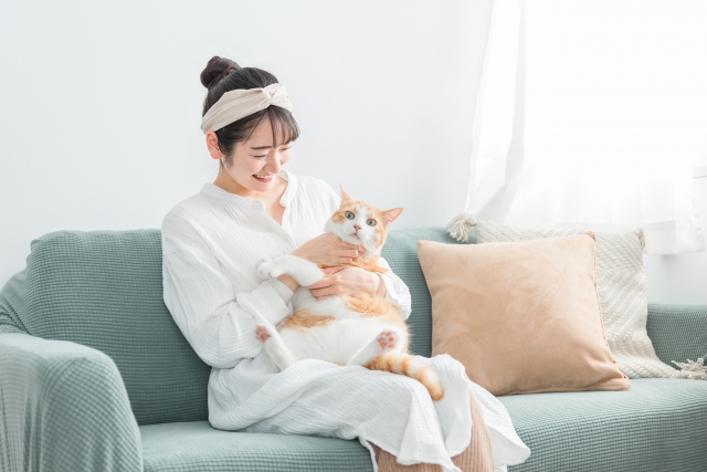猫 ストレス