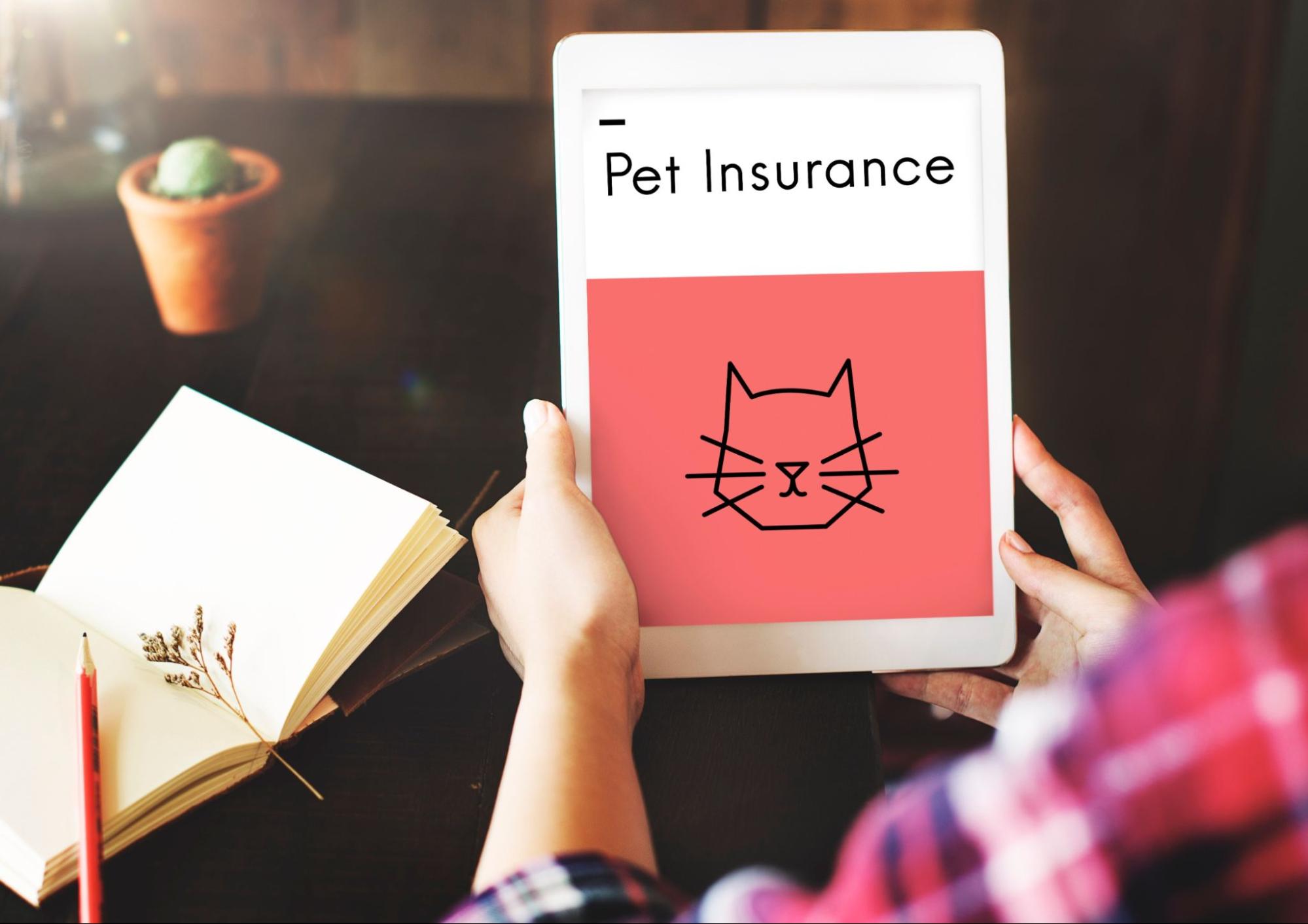 猫、ペット保険、書類