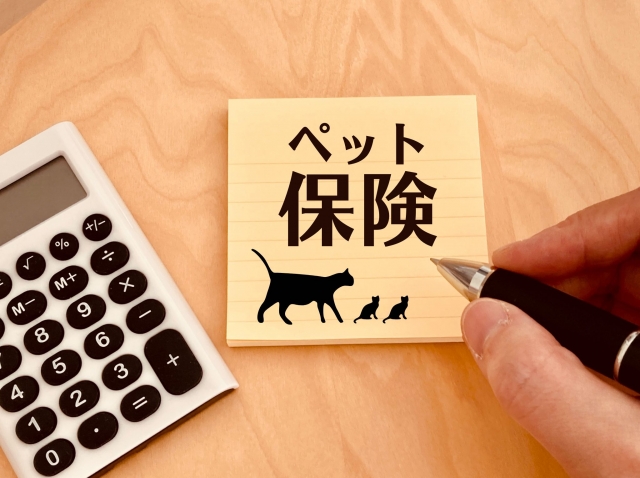猫 病気
