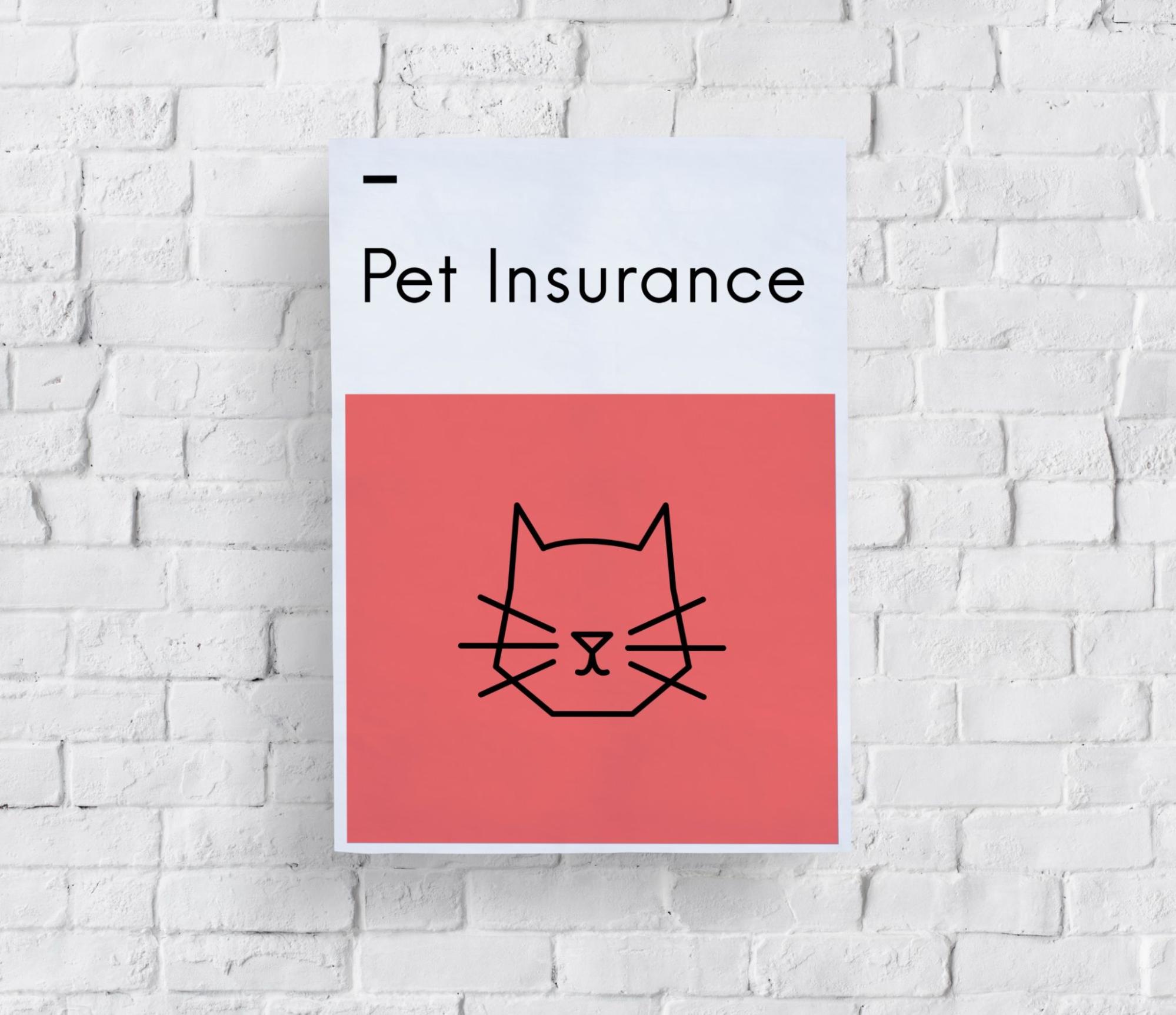 猫、英語、ペット保険