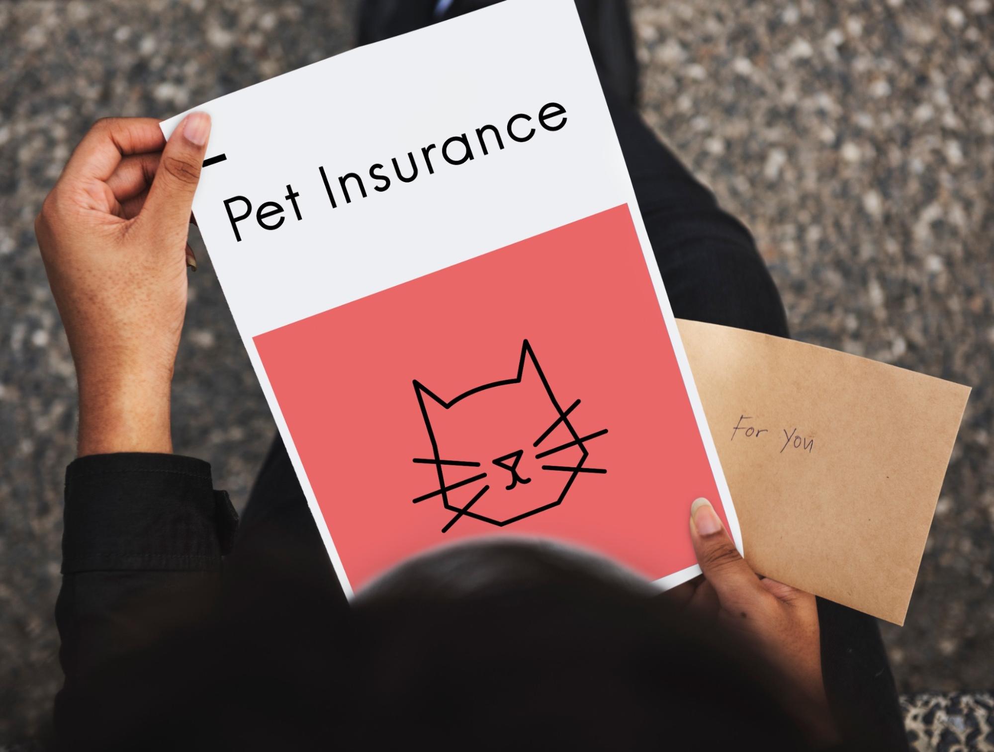 ペット保険、書類