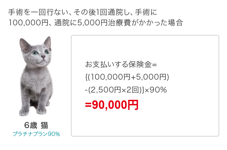手術を一回行ない、その後1回通院し、手術に100,000円、通院に5,000円治療費がかかった場合