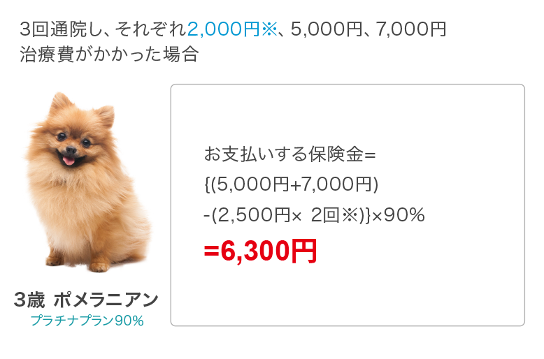 3回通院し、それぞれ2,000円※ 、5,000円、7,000円治療費がかかった場合