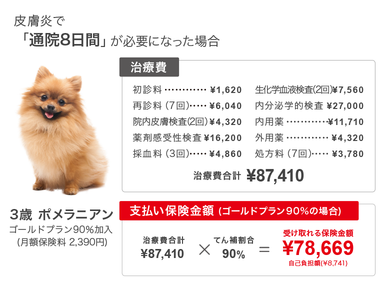 皮膚炎で「通院8日間」が必要になった場合