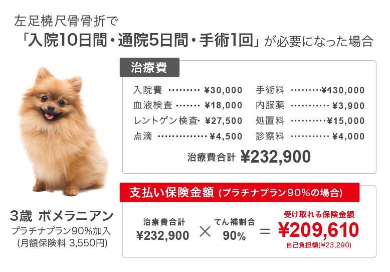補償内容 補償内容