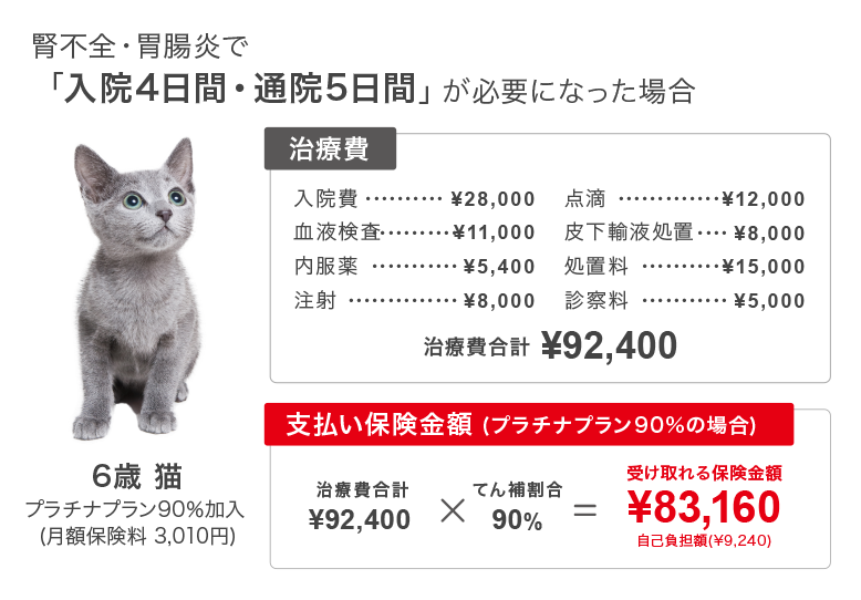 腎不全・胃腸炎で「入院4日間・通院5日間」が必要になった場合
