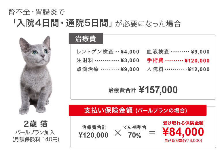 腎不全・胃腸炎で「入院4日間・通院5日間」が必要になった場合