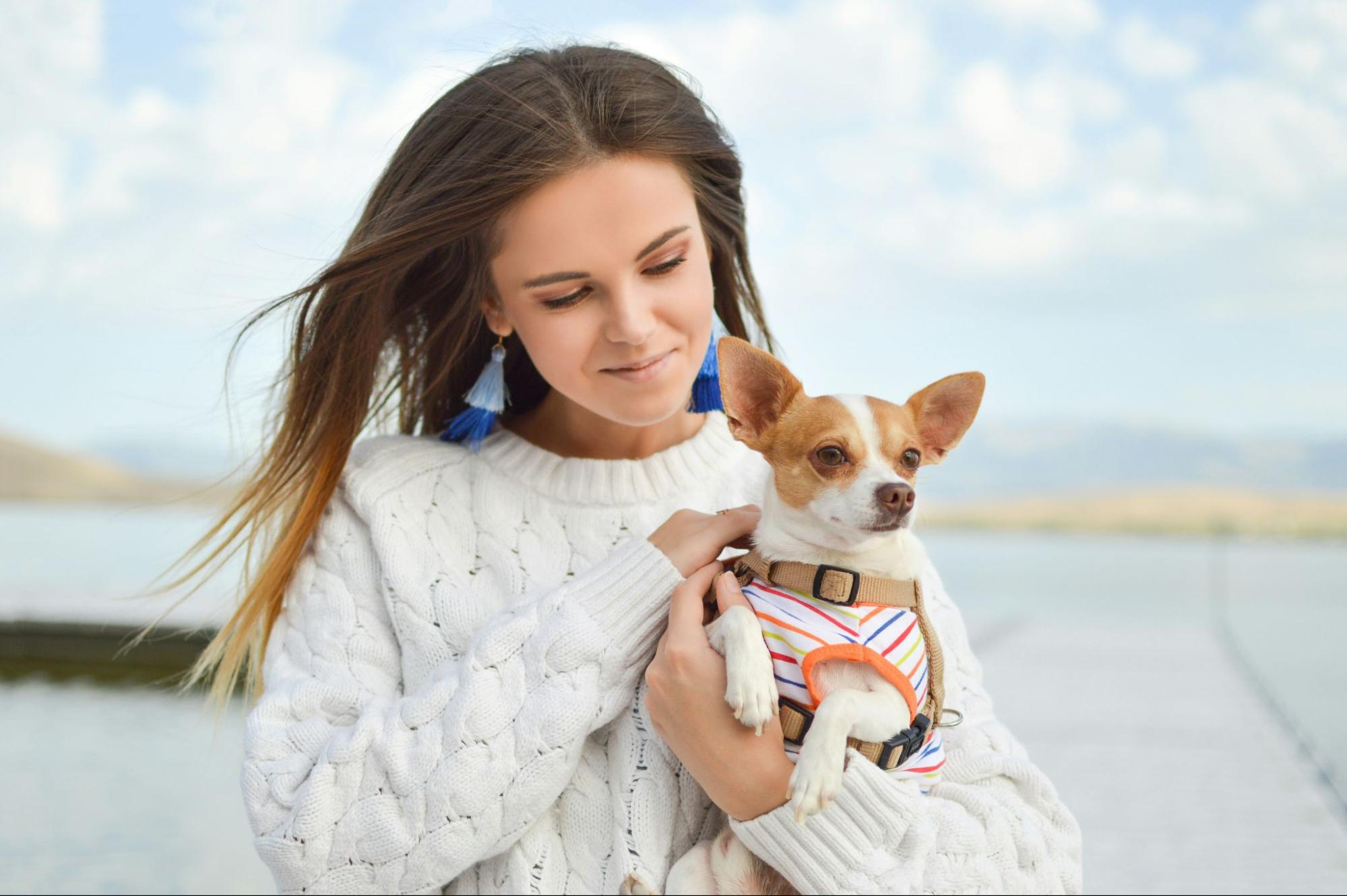 犬