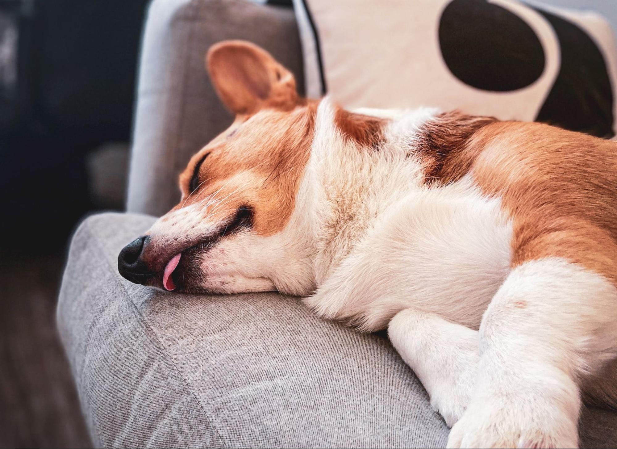 夜間の乾いた咳の治療
