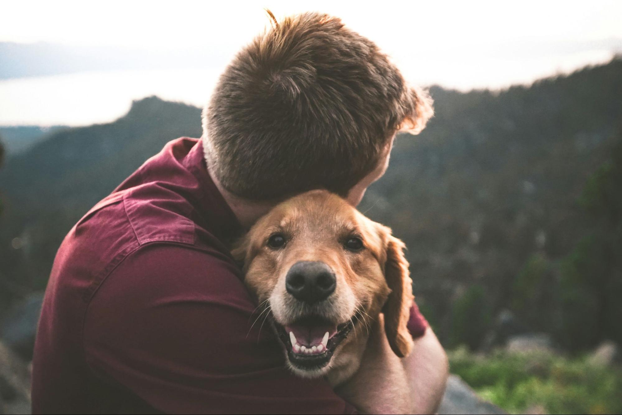 飼い主と犬