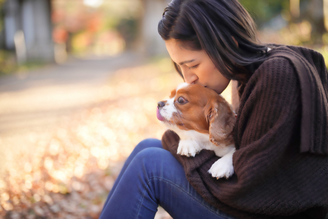 飼い主と犬