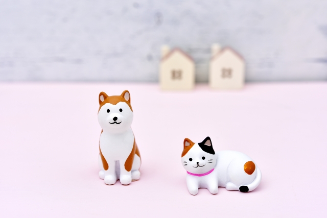犬