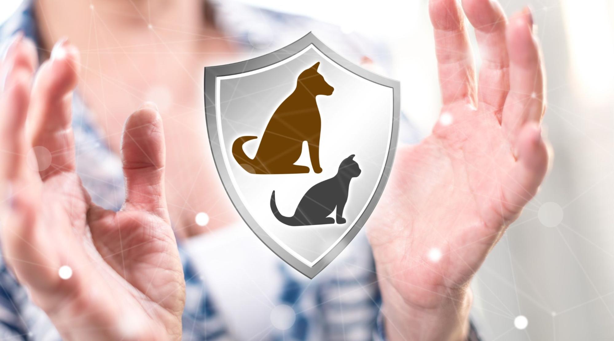犬
