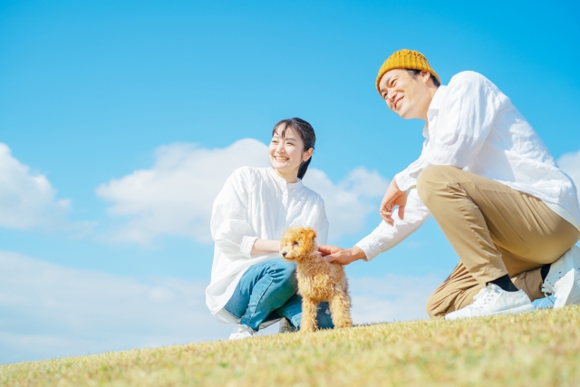 愛犬、飼い主、青空