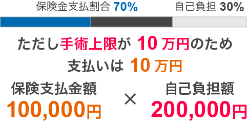 他社 保険金支払割合70%