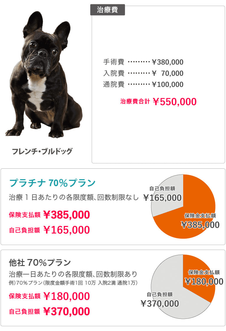 フレンチ ブルドッグの保険 フレンチ ブルドッグの保険