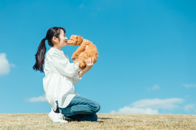 トイプードルと飼い主