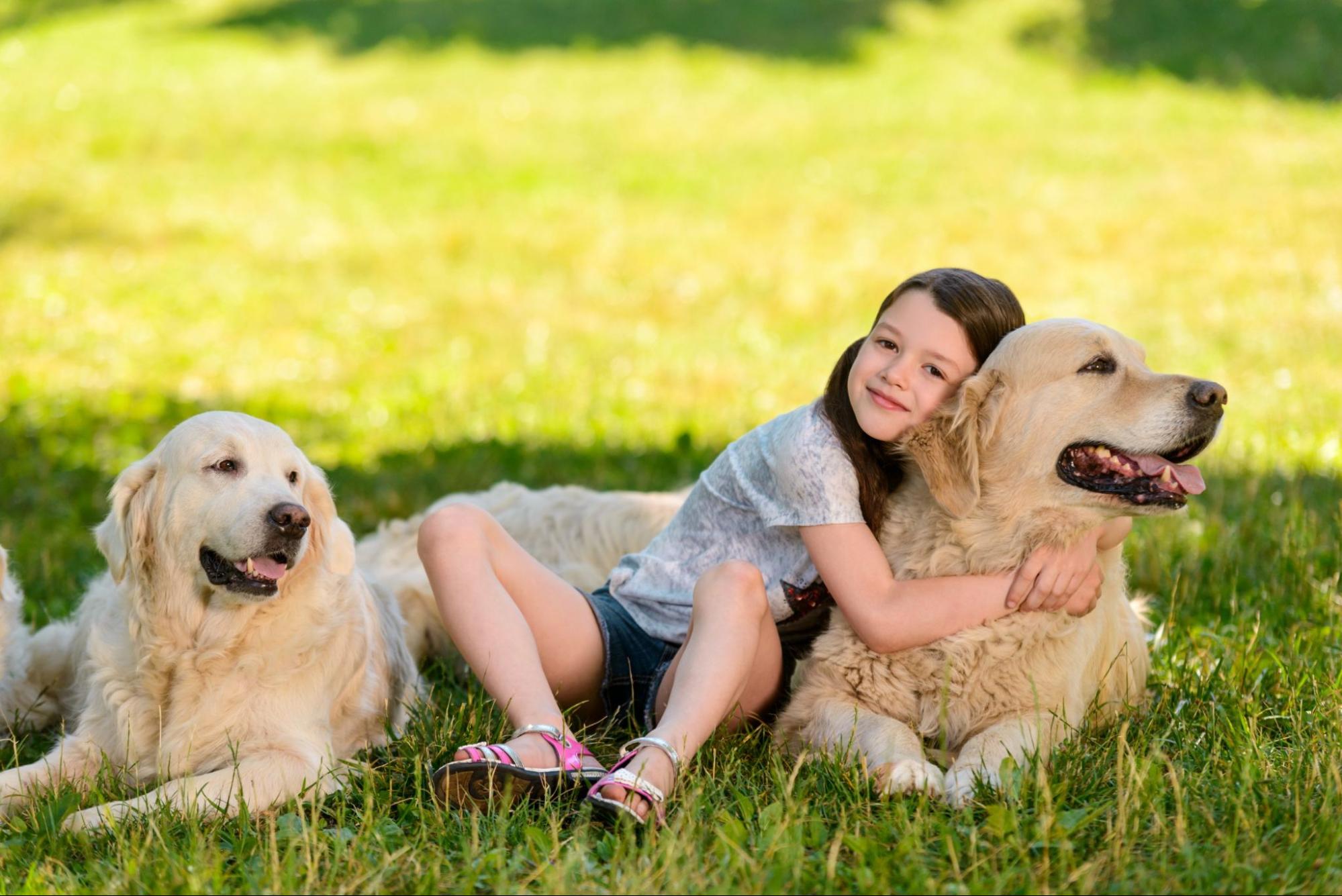 大型犬、2匹、女の子、芝生