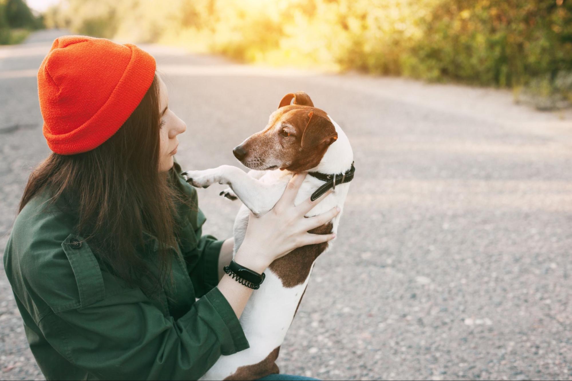 犬