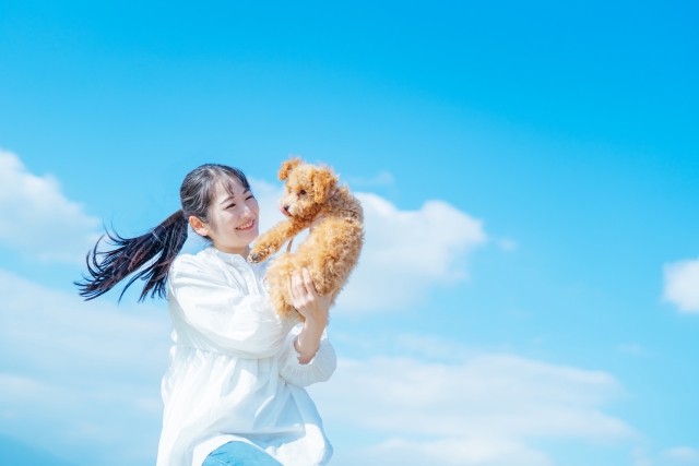 犬、飼い主、空