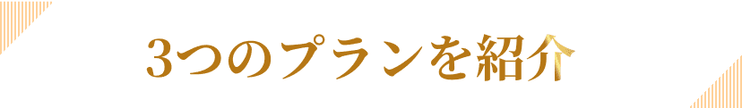 3つのプランを紹介