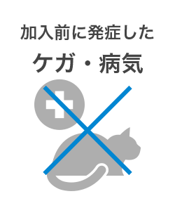 加入前に発症したケガ・病気