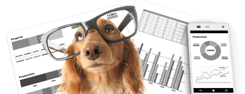 犬