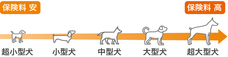 小型犬