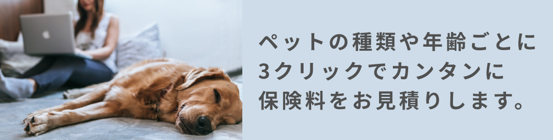 ライフスタイルで選ぶペット保険