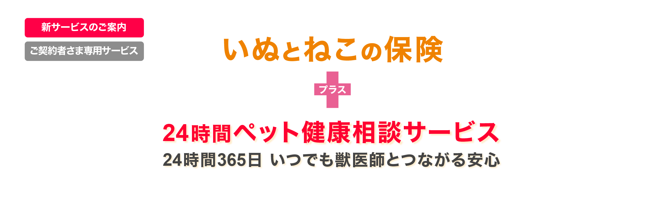 ぺット保険 いぬとねこの保険 日本ペット少額短期保険株式会社