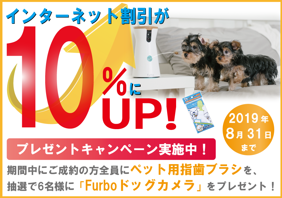 10upcampaign.png