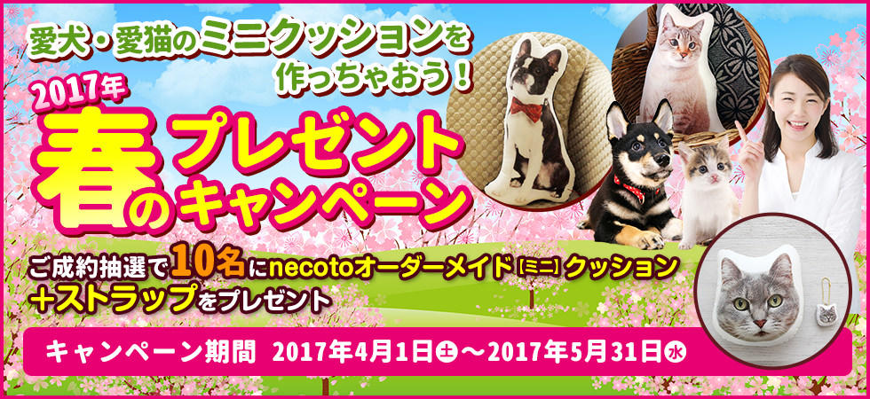 banner-material.jpg