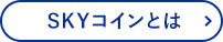 SKYコインとは