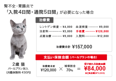 腎不全・胃腸炎で「入院4日間・通院5日間」が必要になった場合
