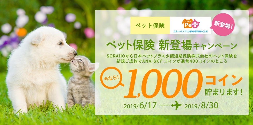 日本ペットプラス少額短期保険、新規ご成約キャンペーン
