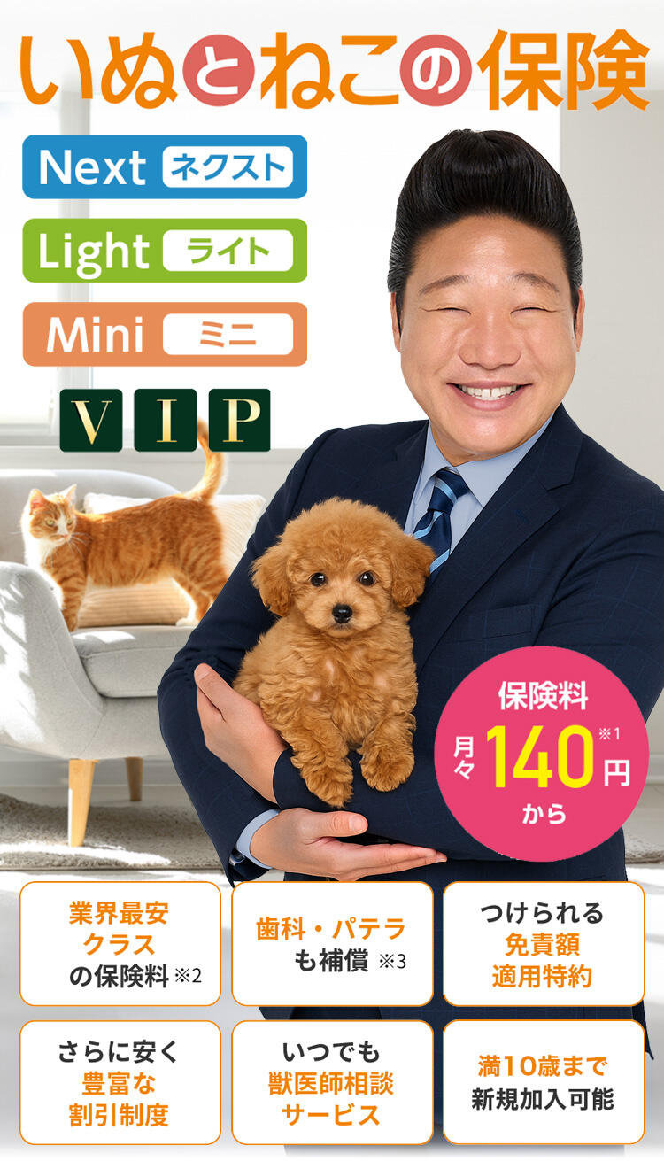 いぬとねこの保険｜日本ペット少額短期保険株式会社