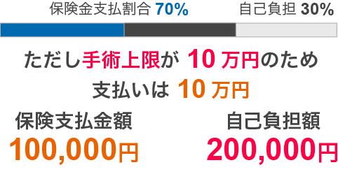 他社 保険金支払割合70%