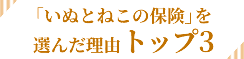 「いぬとねこの保険」を選んだ理由トップ3