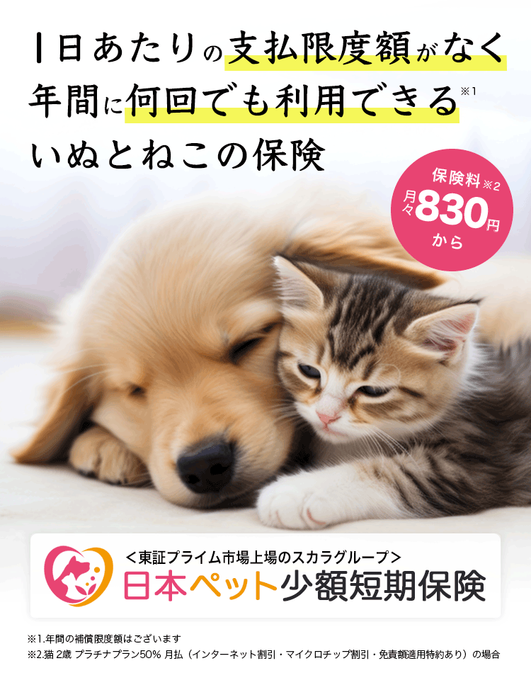 1日あたりの支払限度額がなく年間に何回でも利用できるペット保険