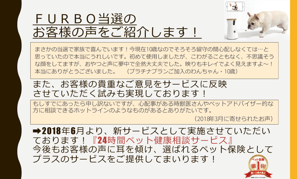 voice_Furbo.png